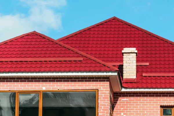 Roof Painting