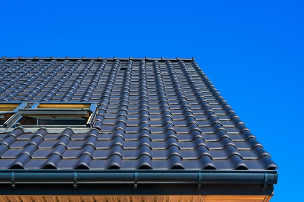Tile Roof Painting
